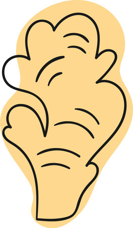 Ginger Root Spices Linedのイラスト素材