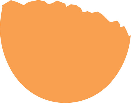 Chicken Egg Shellのイラスト素材