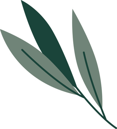 Olive Tree Branchのイラスト素材