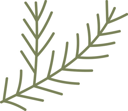 Conifer Tree Branchのイラスト素材
