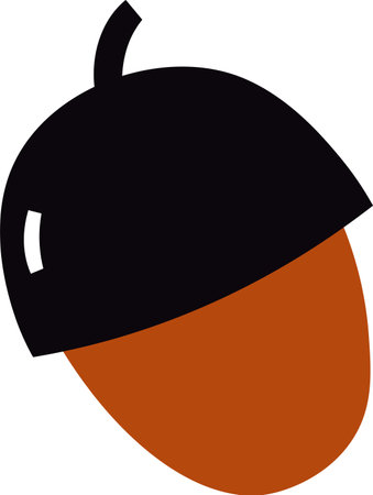 Acorn Hand Drawnのイラスト素材