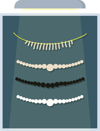 Jewelery Store Display With Necklacesのイラスト素材