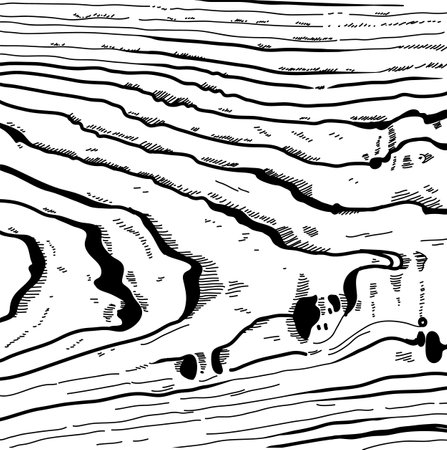 Wood Texture Linedのイラスト素材