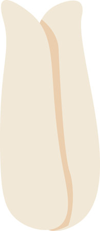 Tulip Flower Budのイラスト素材
