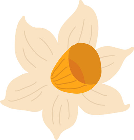 Handdrawn Flower Headのイラスト素材