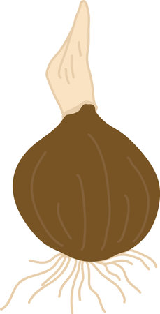 Handdrawn Flower Bulbのイラスト素材