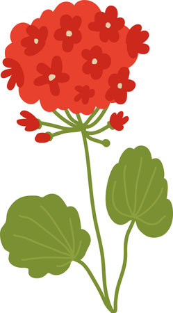 Hand Drawn Wildflower Branchのイラスト素材