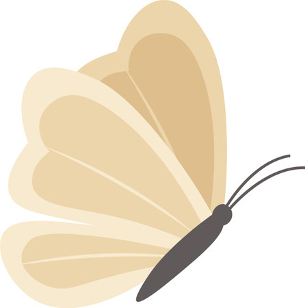 Hand Drawn Butterflyのイラスト素材