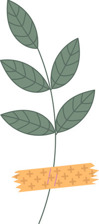 Wild Flower With Washi Tapeのイラスト素材