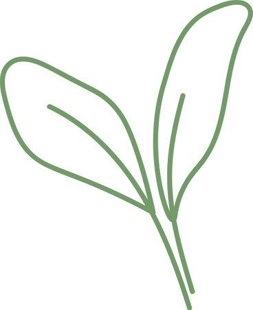 Doodle Leafy Herbsのイラスト素材