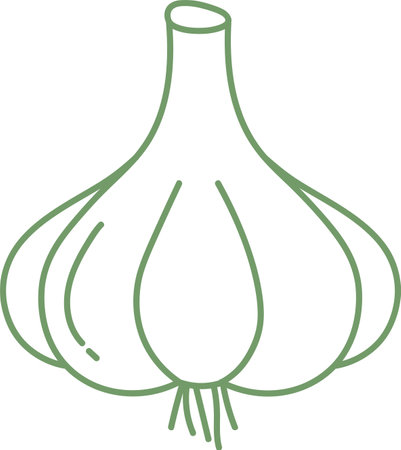 Doodle Garlic Vegetableのイラスト素材