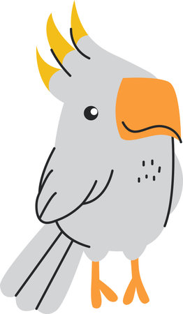 Baby Parrot Bird