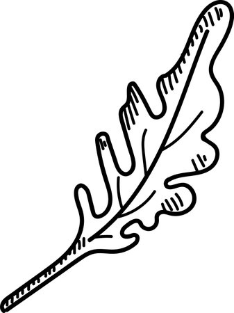Detailed Oak Leaf Sketchのイラスト素材