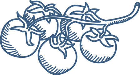 Hand-drawn Tomato Branch Sketchのイラスト素材