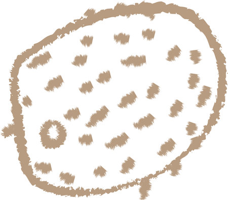 Crayon Dragon Fruit Doodleのイラスト素材