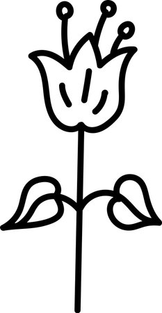 Flower Line Drawingのイラスト素材