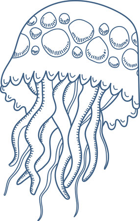 Line Art Jellyfish Drawingのイラスト素材