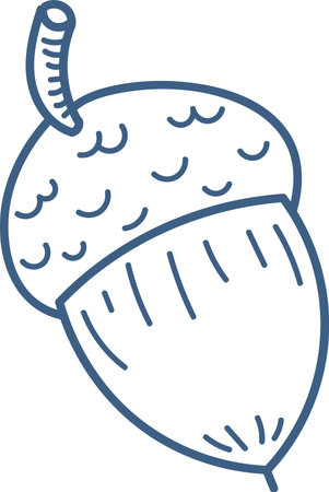 Hand-Drawn Acorn Sketchのイラスト素材