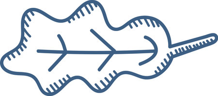 Doodle Oak Leafのイラスト素材