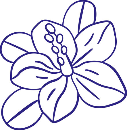 Tropical Flower Sketchのイラスト素材