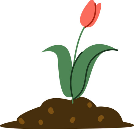 Tulip Growing from Soilのイラスト素材