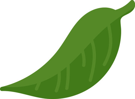 Leaf with Simple Linesのイラスト素材