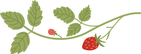 Strawberry Plant with Leavesのイラスト素材