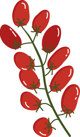 Tomato Vine with Glossy Tomatoesのイラスト素材
