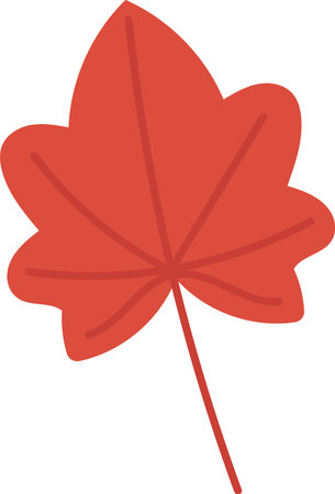 Maple Leaf Cartoon Drawingのイラスト素材