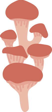 Cartoon Mushrooms Clusterのイラスト素材