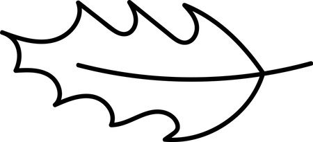 Outlined Oak Leaf Drawingのイラスト素材