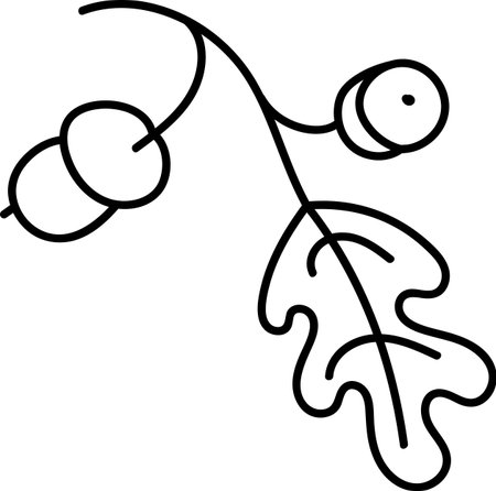 Oak Leaf and Acorns Outlineのイラスト素材