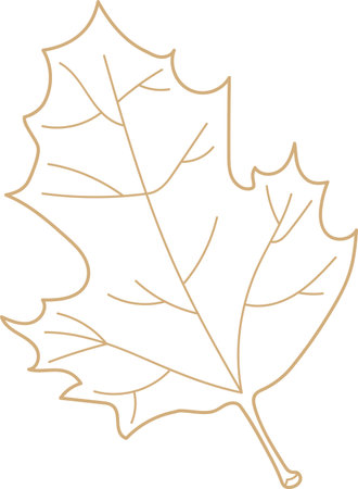 Lined Maple Leafのイラスト素材