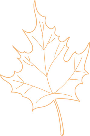 Maple Leaf Sketchのイラスト素材