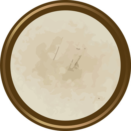 Tortilla Top View Round Cartoonのイラスト素材