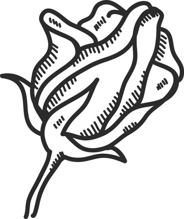 Rose Bud Line Art Vintageのイラスト素材
