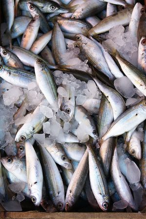 fish marketの写真素材