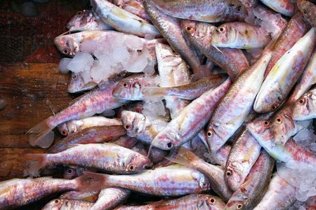 fish marketの写真素材
