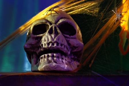 halloween skull with spidersの写真素材