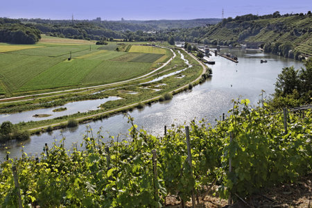 River Neckar in Poppenweiler, Germanyの写真素材