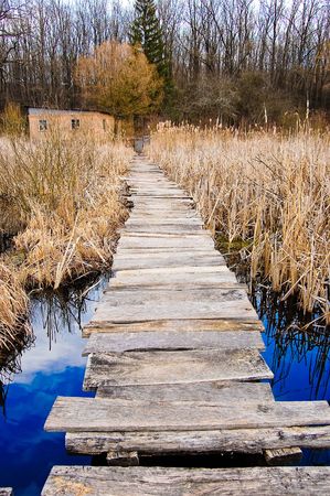 The old wooden bridge over the river and reeds along the shoreの写真素材