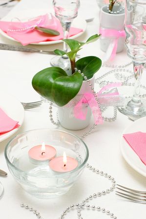 Holiday tableware in white and pink colorsの写真素材