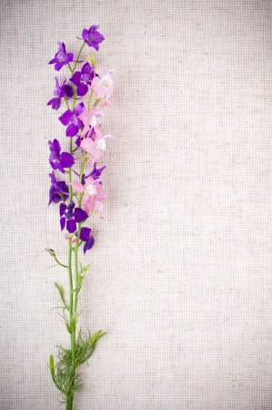Art background with bright purple wild flowers on linen fabricの写真素材