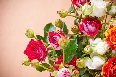 large bouquet of multicolored roses on a brown background closeupの写真素材