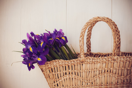 Vintage wicker basket with spring violet flowers on a white background wooden board, closeupの写真素材