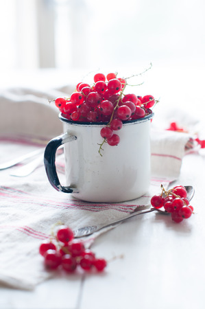 Fresh natural organic red currants in a white の写真素材