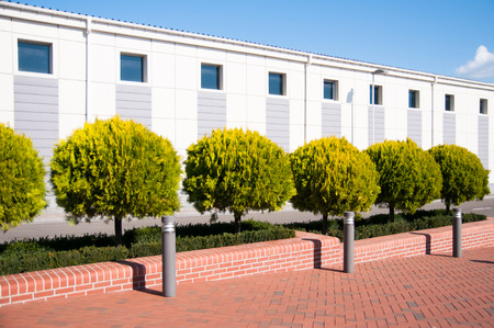 Sunny street, trees, minimalistic building in a sunny summer dayの写真素材