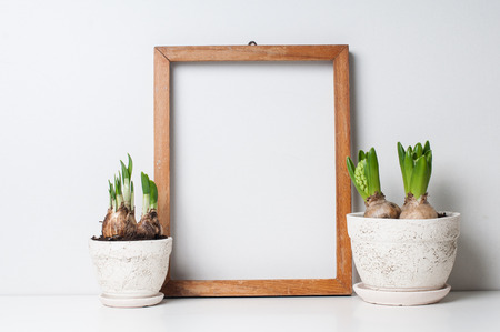 Hyacinth and narcissus sprouts in ceramic pots and empty wooden frame on a white wallの写真素材