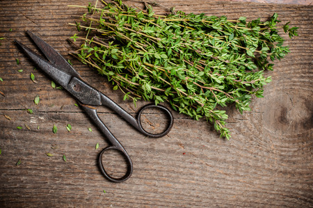 Vintage still life, thyme herb, antique scissors and twine on an old wooden board.の写真素材