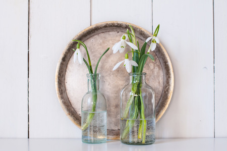 White spring flowers snowdrops in vintage glass bottles on white  barn wall background, cottage interior decorの写真素材